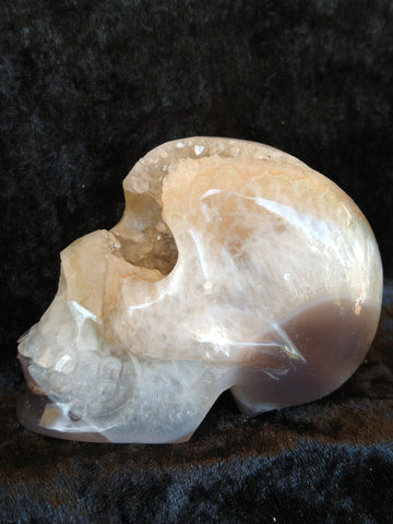 Agate Druzy Skull - 329 grams